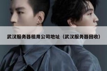 武汉服务器租用公司地址（武汉服务器回收）