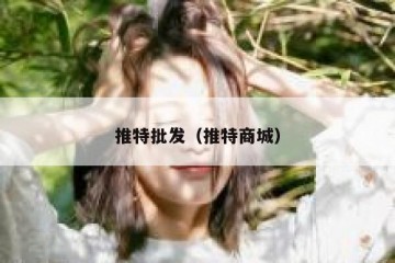 推特批发（推特商城）