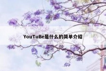 YouTuBe是什么的简单介绍