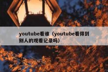 youtube看谁（youtube看得到别人的观看记录吗）