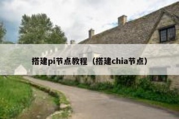 搭建pi节点教程（搭建chia节点）