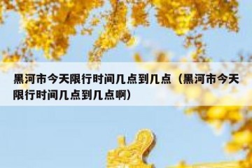 黑河市今天限行时间几点到几点（黑河市今天限行时间几点到几点啊）