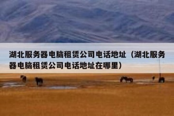 湖北服务器电脑租赁公司电话地址（湖北服务器电脑租赁公司电话地址在哪里）