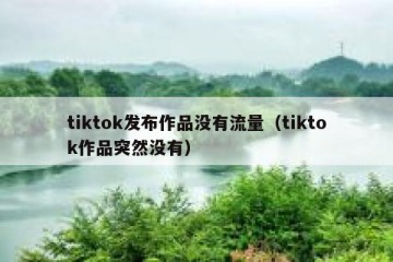 tiktok发布作品没有流量（tiktok作品突然没有）
