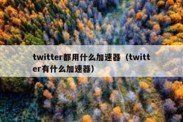 twitter都用什么加速器（twitter有什么加速器）