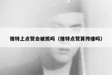 推特上点赞会被抓吗（推特点赞算传播吗）