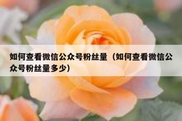 如何查看微信公众号粉丝量（如何查看微信公众号粉丝量多少）
