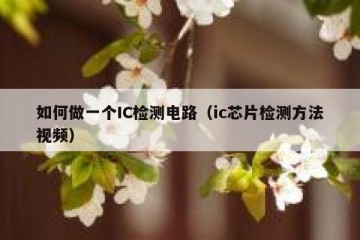 如何做一个IC检测电路（ic芯片检测方法视频）