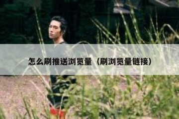 怎么刷推送浏览量（刷浏览量链接）