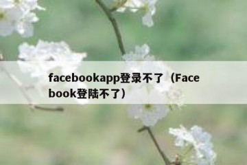 facebookapp登录不了（Facebook登陆不了）