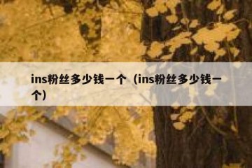 ins粉丝多少钱一个（ins粉丝多少钱一个）