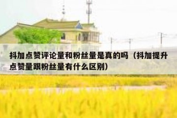 抖加点赞评论量和粉丝量是真的吗（抖加提升点赞量跟粉丝量有什么区别）