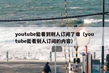 youtube能看到别人订阅了谁（youtube能看别人订阅的内容）