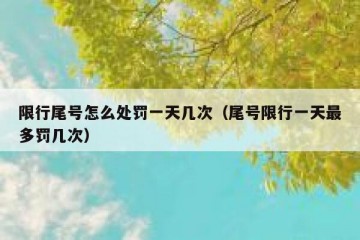 限行尾号怎么处罚一天几次（尾号限行一天最多罚几次）