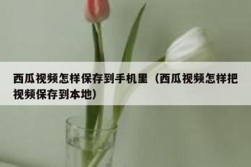 西瓜视频怎样保存到手机里（西瓜视频怎样把视频保存到本地）