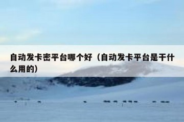 自动发卡密平台哪个好（自动发卡平台是干什么用的）