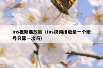 ins视频播放量（ins视频播放量一个账号只算一次吗）