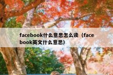facebook什么意思怎么读（facebook英文什么意思）