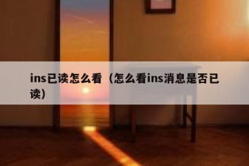 ins已读怎么看（怎么看ins消息是否已读）