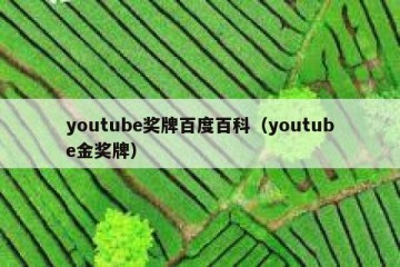 youtube奖牌百度百科（youtube金奖牌）