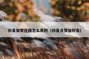 抖音加赞在线怎么弄的（抖音点赞加好友）