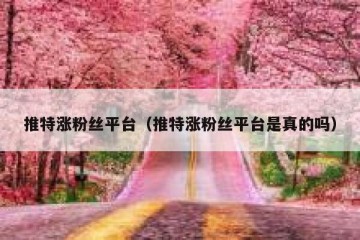 推特涨粉丝平台（推特涨粉丝平台是真的吗）