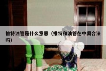 推特油管是什么意思（推特和油管在中国合法吗）