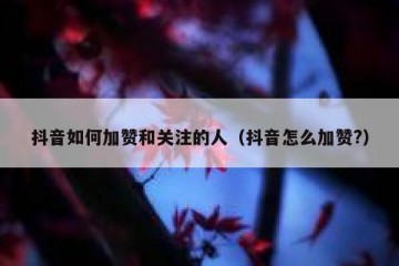 抖音如何加赞和关注的人（抖音怎么加赞?）