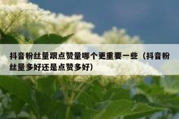 抖音粉丝量跟点赞量哪个更重要一些（抖音粉丝量多好还是点赞多好）