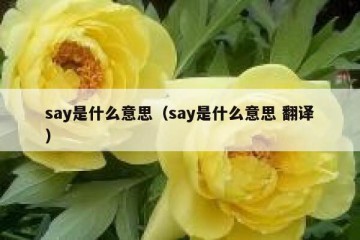 say是什么意思（say是什么意思 翻译）