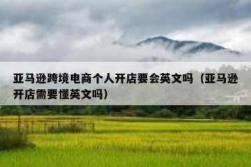 亚马逊跨境电商个人开店要会英文吗（亚马逊开店需要懂英文吗）