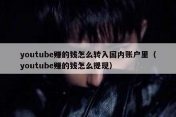 youtube赚的钱怎么转入国内账户里（youtube赚的钱怎么提现）