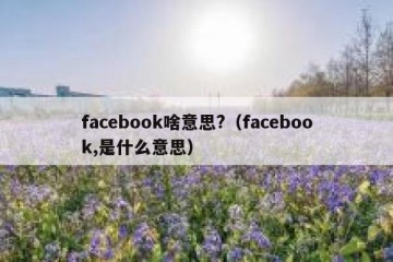 facebook啥意思?（facebook,是什么意思）