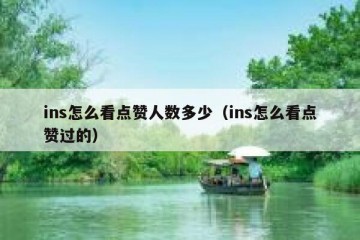 ins怎么看点赞人数多少（ins怎么看点赞过的）