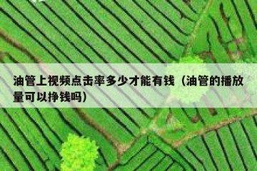 油管上视频点击率多少才能有钱（油管的播放量可以挣钱吗）