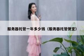 服务器托管一年多少钱（服务器托管便宜）