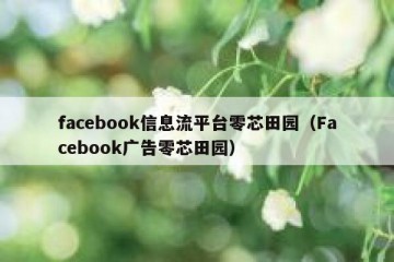 facebook信息流平台零芯田园（Facebook广告零芯田园）