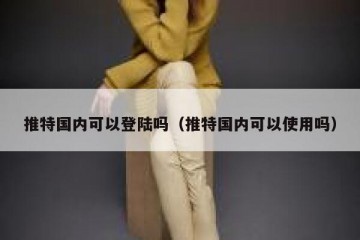 推特国内可以登陆吗（推特国内可以使用吗）
