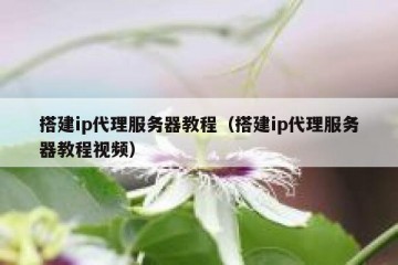 搭建ip代理服务器教程（搭建ip代理服务器教程视频）