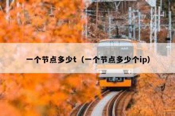 一个节点多少t（一个节点多少个ip）