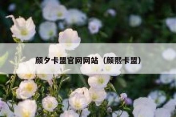 颜夕卡盟官网网站（颜熙卡盟）