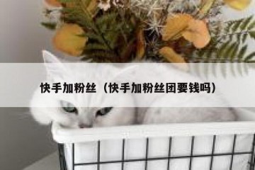 快手加粉丝（快手加粉丝团要钱吗）