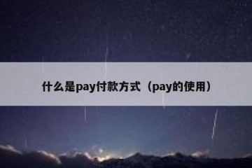 什么是pay付款方式（pay的使用）