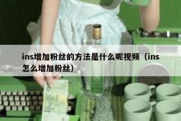 ins增加粉丝的方法是什么呢视频（ins怎么增加粉丝）