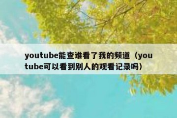 youtube能查谁看了我的频道（youtube可以看到别人的观看记录吗）