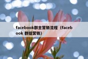 facebook群主营销流程（facebook 群组营销）