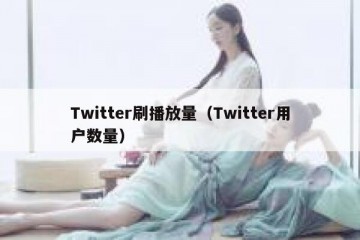Twitter刷播放量（Twitter用户数量）