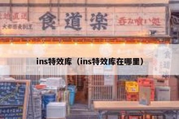 ins特效库（ins特效库在哪里）