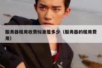 服务器租用收费标准是多少（服务器的租用费用）
