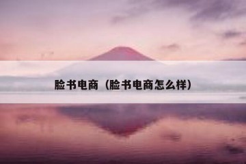 脸书电商（脸书电商怎么样）
